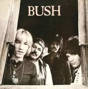 CD Bush: Bush