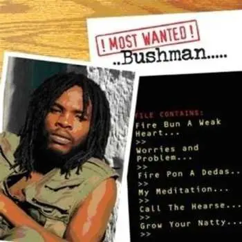 CD Bushman: Most Wanted