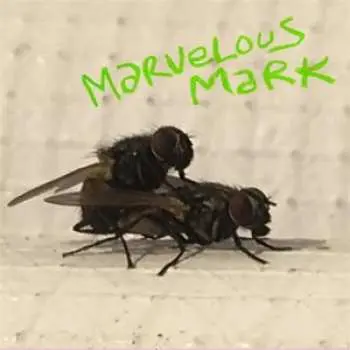 LP Marvelous Mark: Buzzin
