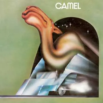 CD Camel: Camel
