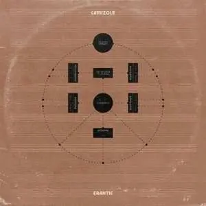 LP Camizole: Erahtic