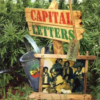 LP Capital Letters: Vinyard