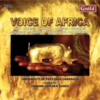 CD/DVD Carl Rütti: Mysterium Montis