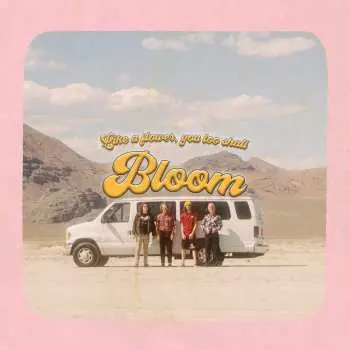 CD Carpool Tunnel: Bloom