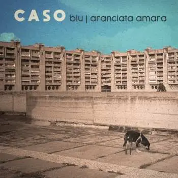 SP Caso: Blu / Aranciata Amara CLR