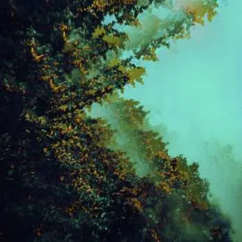 CD Polymoon: Caterpillars Of Creation