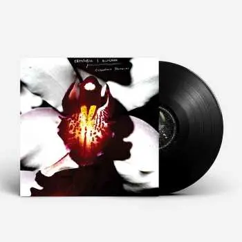 LP Chrystabell: Cellophane Memories