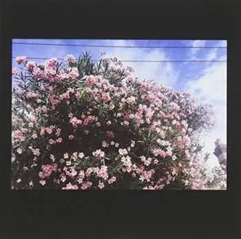 CD Ceres: Drag It Down On You