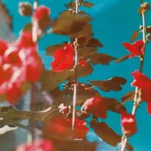 LP Chad Lawson: Breathe