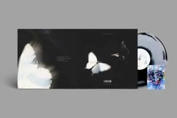 LP Chase Atlantic: Dalliance