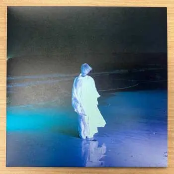 LP Chiaki Sato: Butterfly Effect LTD
