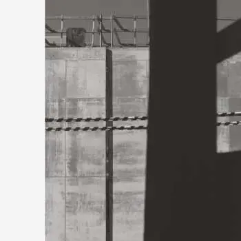 LP Chris Abrahams: Follower