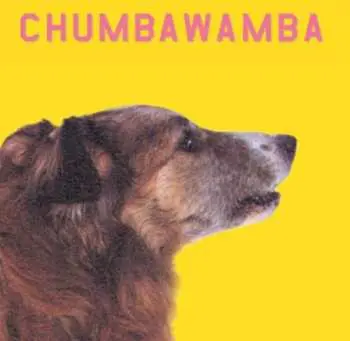 CD Chumbawamba: WYSIWYG