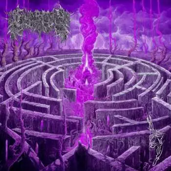 LP Civerous: Maze Envy CLR | LTD