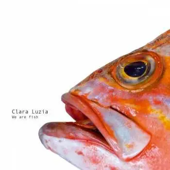 LP Clara Luzia: We Are Fish