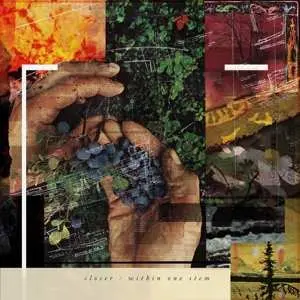 LP Closer: Within One Stem CLR