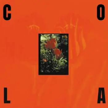 CD Cola: The Gloss