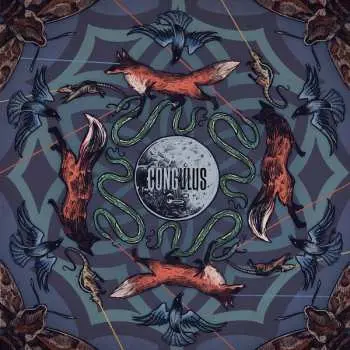 2LP Congulus: Bozkır CLR | LTD