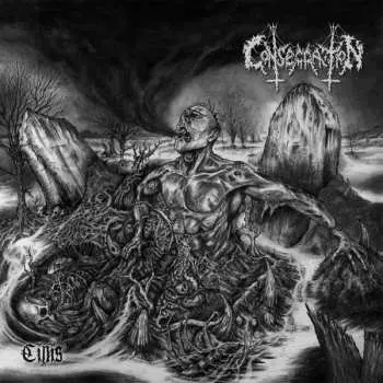 CD Consecration: Cinis
