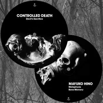 LP Controlled Death: Split LTD | PIC