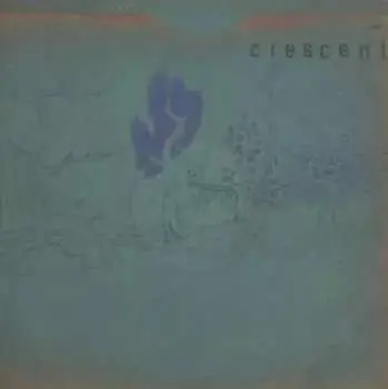 CD Crescent: Resin Pockets
