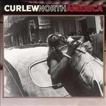 CD Curlew: North America