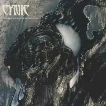 CD Cynic: Carbon-Based Anatomy