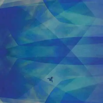 CD Cyro Baptista: Bluefly