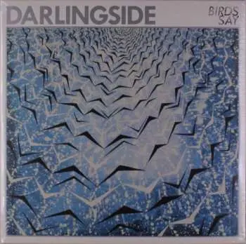 2LP Darlingside: Birds Say CLR | LTD