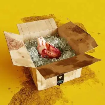 CD Das Lumpenpack: Emotions