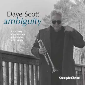 CD Dave Scott: Ambiguity