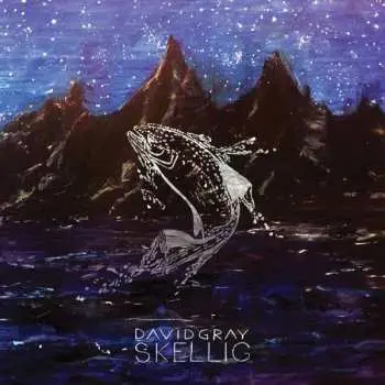 2LP David Gray: Skellig
