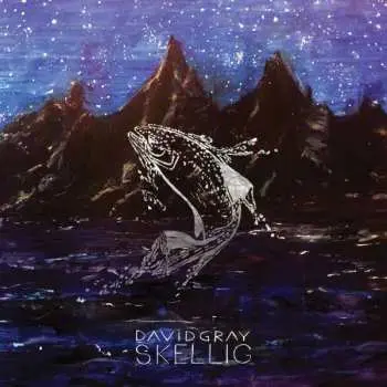 CD David Gray: Skellig