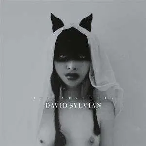 2LP David Sylvian: Sleepwalkers