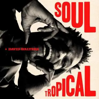 CD David Walters: Soul Tropical