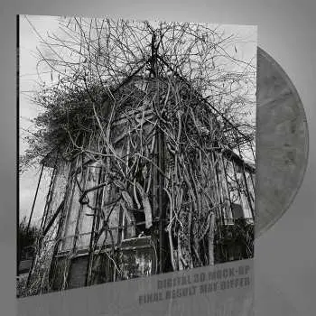 LP Impure Wilhelmina: Dead Decades CLR | LTD