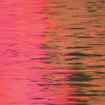 CD Silverstein: Dead Reflection