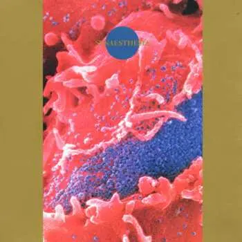 CD Death Ambient: Synæsthesia