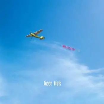 2LP Deer Tick: Negativity