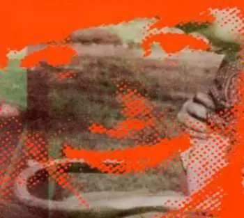CD Deerhunter: Flourescent Grey