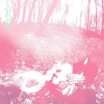 LP Dehd: Water CLR | LTD