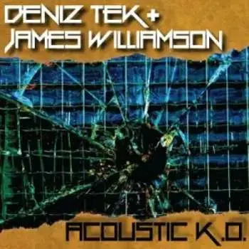 EP Deniz Tek: Acoustic K.O.