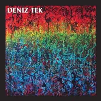 LP Deniz Tek: Mean Old Twister