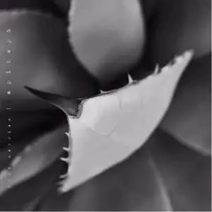 2LP Dirk Serries: Epitaph LTD | NUM
