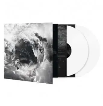 2LP Disillusion: Ayam CLR | LTD