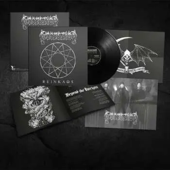 LP Dissection: Reinkaos CLR | LTD