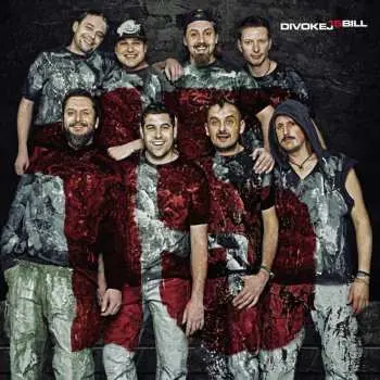 Divokej Bill: 15  LP