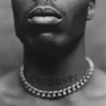 CD DMX: Exodus LTD