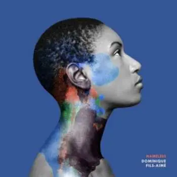 CD Dominique Fils-Aimé: Nameless DIGI