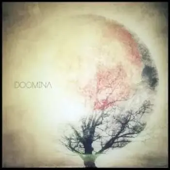 LP Doomina: Doomina LTD | CLR